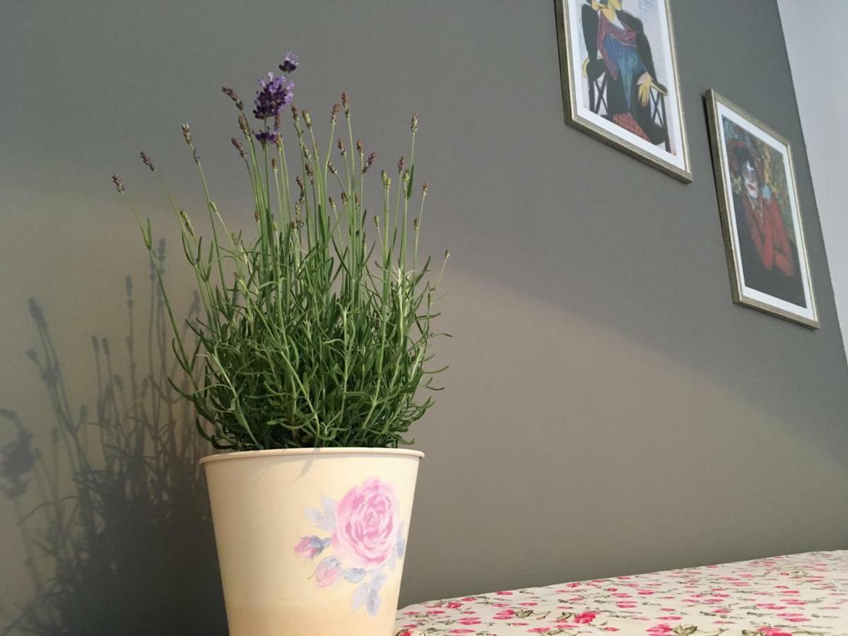 Apartment Neda Split Luaran gambar